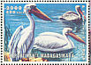 Great White Pelican Pelecanus onocrotalus  1999 Birds Sheet