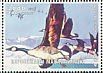 Canada Goose Branta canadensis  1999 Birds Sheet