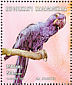 Hyacinth Macaw Anodorhynchus hyacinthinus  2001 Macaws Sheet