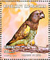 Meyer's Parrot Poicephalus meyeri  2001 Macaws Sheet