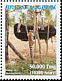 Common Ostrich Struthio camelus  2004 Tourism 7v set