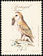 Western Barn Owl Tyto alba  1987 Birds 