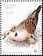 European Turtle Dove Streptopelia turtur  2002 WWF 