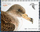 Cory's Shearwater Calonectris borealis  2007 Marine fauna, in yearbook 2007 Prestige booklet