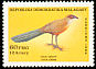 Giant Coua Coua gigas  1986 Birds 