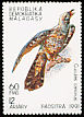 Common Cuckoo Cuculus canorus  1991 Birds 