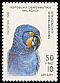 Hyacinth Macaw Anodorhynchus hyacinthinus  1993 Parrots 