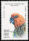 Jandaya Parakeet Aratinga jandaya  1993 Parrots 