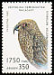 Kea Nestor notabilis  1993 Parrots 