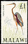 Purple Heron Ardea purpurea  1968 Birds 