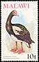 Spur-winged Goose Plectropterus gambensis  1975 Birds With wmk