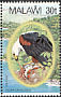 African Fish Eagle Haliaeetus vocifer  1983 African Fish Eagle Strip