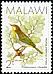 Yellow-throated Woodland Warbler Phylloscopus ruficapilla  1988 Birds 
