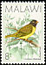 Oriole Finch Linurgus olivaceus  1988 Birds 