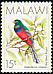 Bar-tailed Trogon Apaloderma vittatum  1988 Birds 