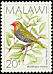 Green Twinspot Mandingoa nitidula  1988 Birds 