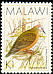 Lemon Dove Columba larvata  1988 Birds 