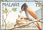 African Paradise Flycatcher Terpsiphone viridis  1992 Birds Sheet