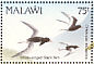 White-winged Tern Chlidonias leucopterus  1992 Birds Sheet