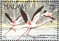Lesser Flamingo Phoeniconaias minor  1992 Birds Sheet