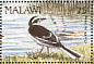African Pied Wagtail Motacilla aguimp  1992 Birds Sheet