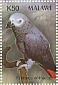 Grey Parrot Psittacus erithacus  2003 Birds of Africa Sheet