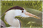 Grey Heron Ardea cinerea  2003 Birds of Africa  MS