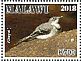 Mountain Wagtail Motacilla clara  2018 Malawi indigenous birds Sheet