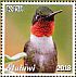 Ruby-throated Hummingbird Archilochus colubris