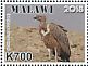 White-rumped Vulture Gyps bengalensis  2018 Vultures Sheet