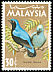 Asian Fairy-bluebird Irena puella  1965 Birds 