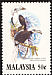 White-crowned Hornbill Berenicornis comatus  1983 Hornbills of Malaysia 