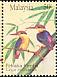Oriental Dwarf Kingfisher Ceyx erithaca  1993 Kingfishers 