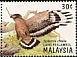 Crested Serpent Eagle Spilornis cheela  1996 Birds of prey 