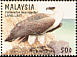 White-bellied Sea Eagle Haliaeetus leucogaster  1996 Birds of prey 