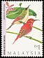 Temminck's Sunbird Aethopyga temminckii  1997 Malaysian highland birds 