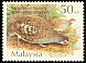 Malayan Partridge Arborophila campbelli  2001 Quail and Partridges 