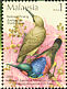 Red-throated Sunbird Anthreptes rhodolaemus