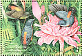 Orange-bellied Flowerpecker Dicaeum trigonostigma  2002 Birds  MS
