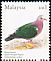 Common Emerald Dove Chalcophaps indica  2005 Birds of Malaysia 