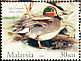 Eurasian Teal Anas crecca  2006 Ducks 