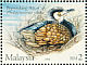 Great Cormorant Phalacrocorax carbo  2006 Ducks  MS