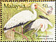 Milky Stork Mycteria cinerea  2009 Unique birds of Malaysia 