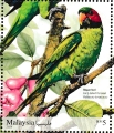Long-tailed Parakeet Psittacula longicauda