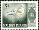 Crab-plover Dromas ardeola  1966 Definitives 