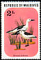 Crab-plover Dromas ardeola  1977 Birds 