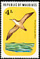 Wedge-tailed Shearwater Ardenna pacifica