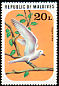 White Tern Gygis alba  1977 Birds 
