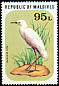 Eastern Cattle Egret Bubulcus coromandus  1977 Birds 
