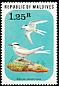 Black-naped Tern Sterna sumatrana  1977 Birds 
